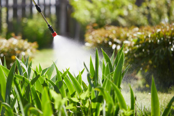 Tamper-Resistant Bait Stations for Rodents in International Falls